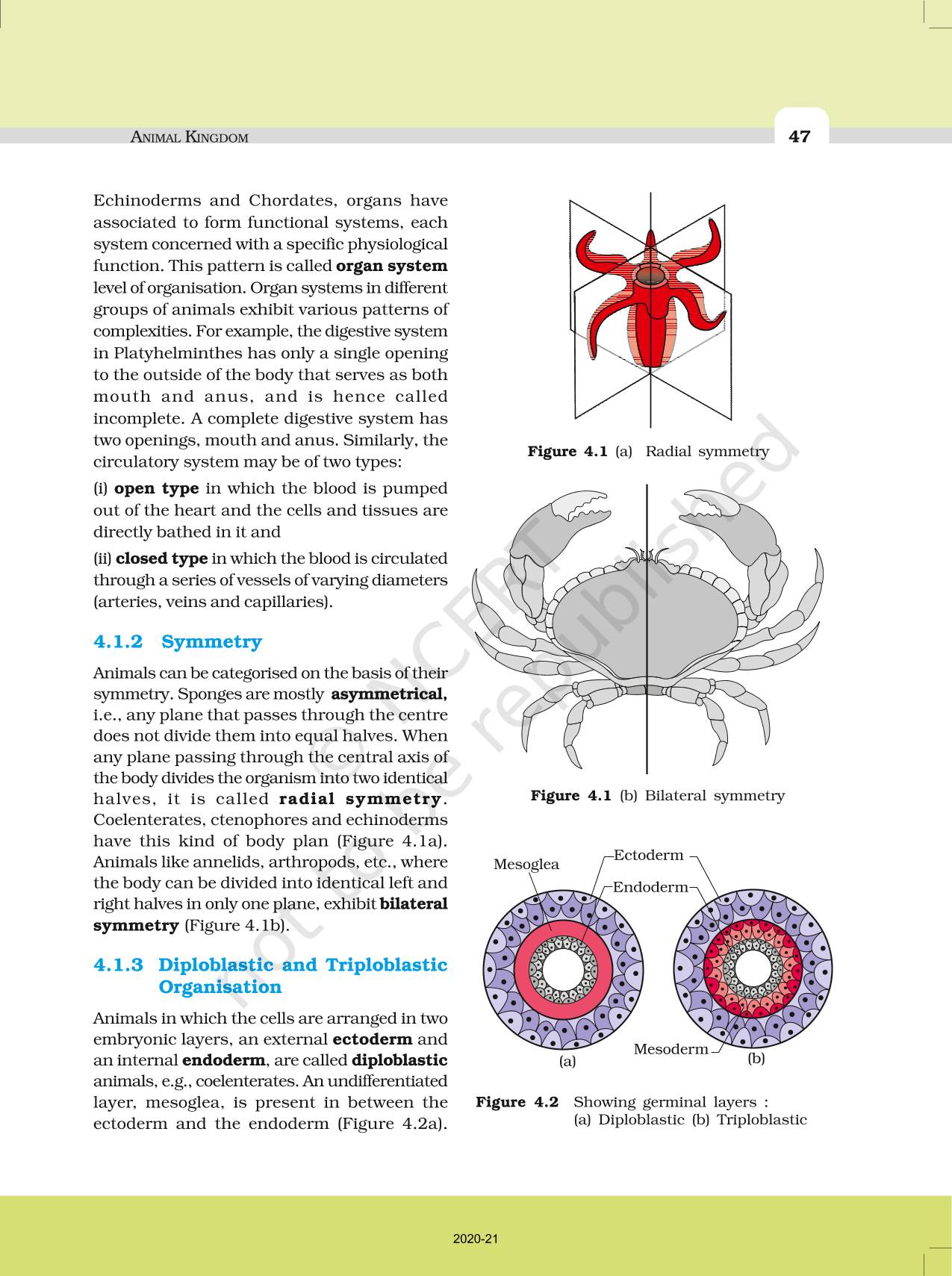 Animal Kingdom - NCERT Book of Class 11 Biology